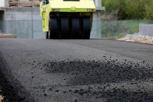 Best Custom Driveway Pavers  in Rio Rancho Estates, NM